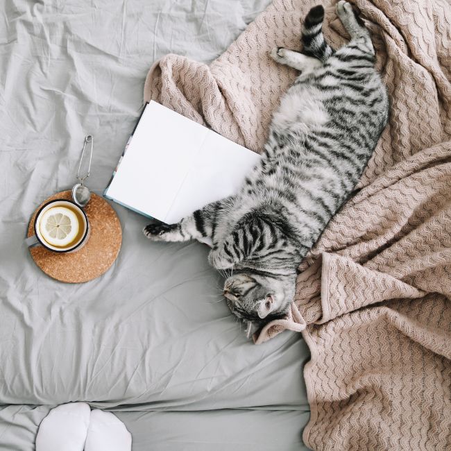 Découvre les 10 accessoires incontournables pour une déco hygge, du confort des plaids en laine aux douces lueurs des bougies. Cultive le bonheur chez toi !