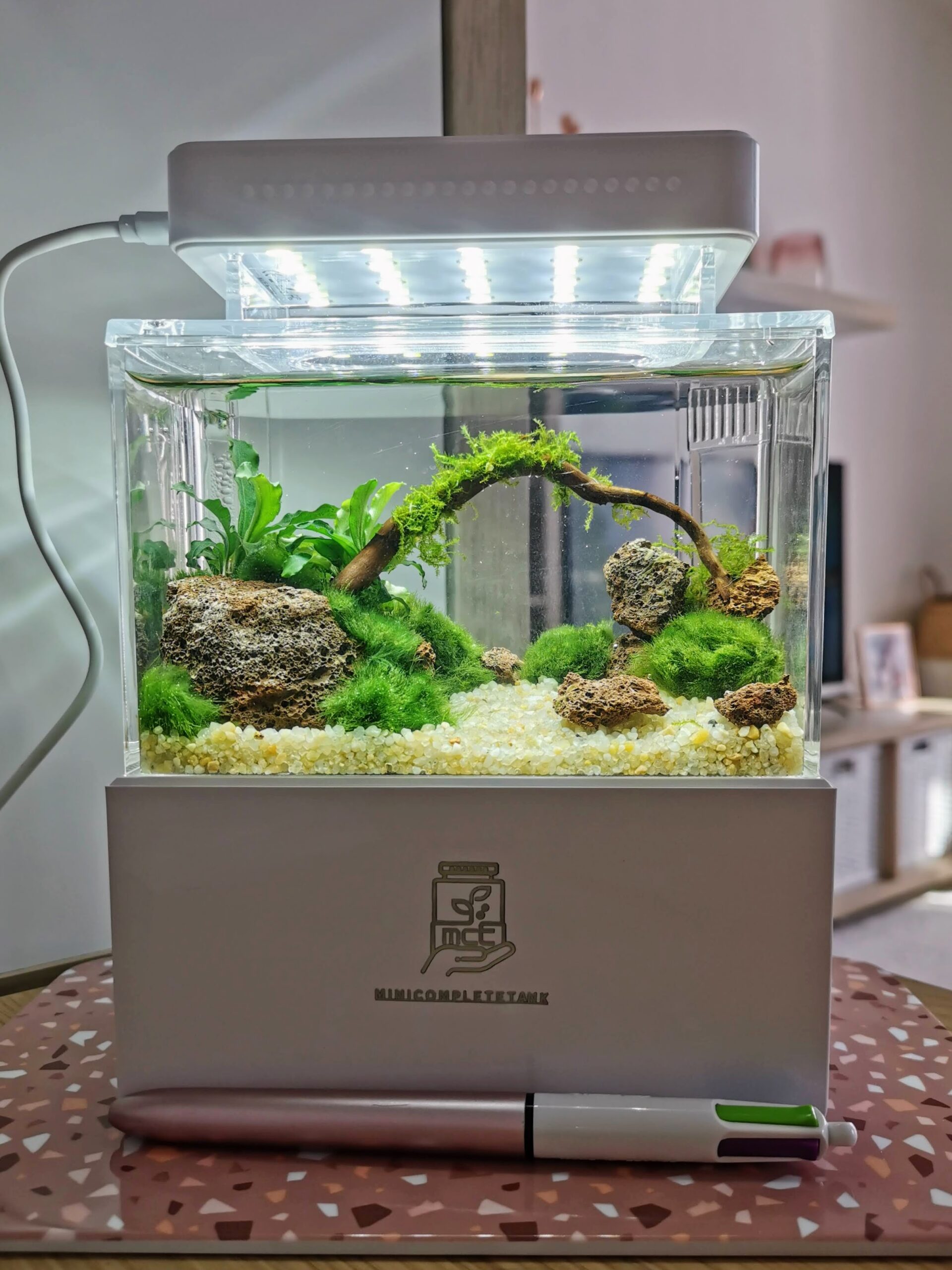 Plonge dans mon mini aquascape, une oasis de tranquillité sur mon bureau. Découvre comment créer une harmonie aquatique dans un espace restreint.