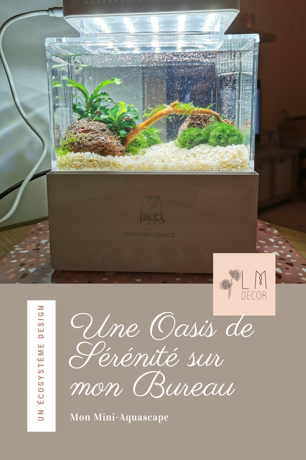 Découvre mon voyage dans le monde captivant de l'aquascaping avec un mini aquarium apaisant. L'art de la déco aquatique à petite échelle.